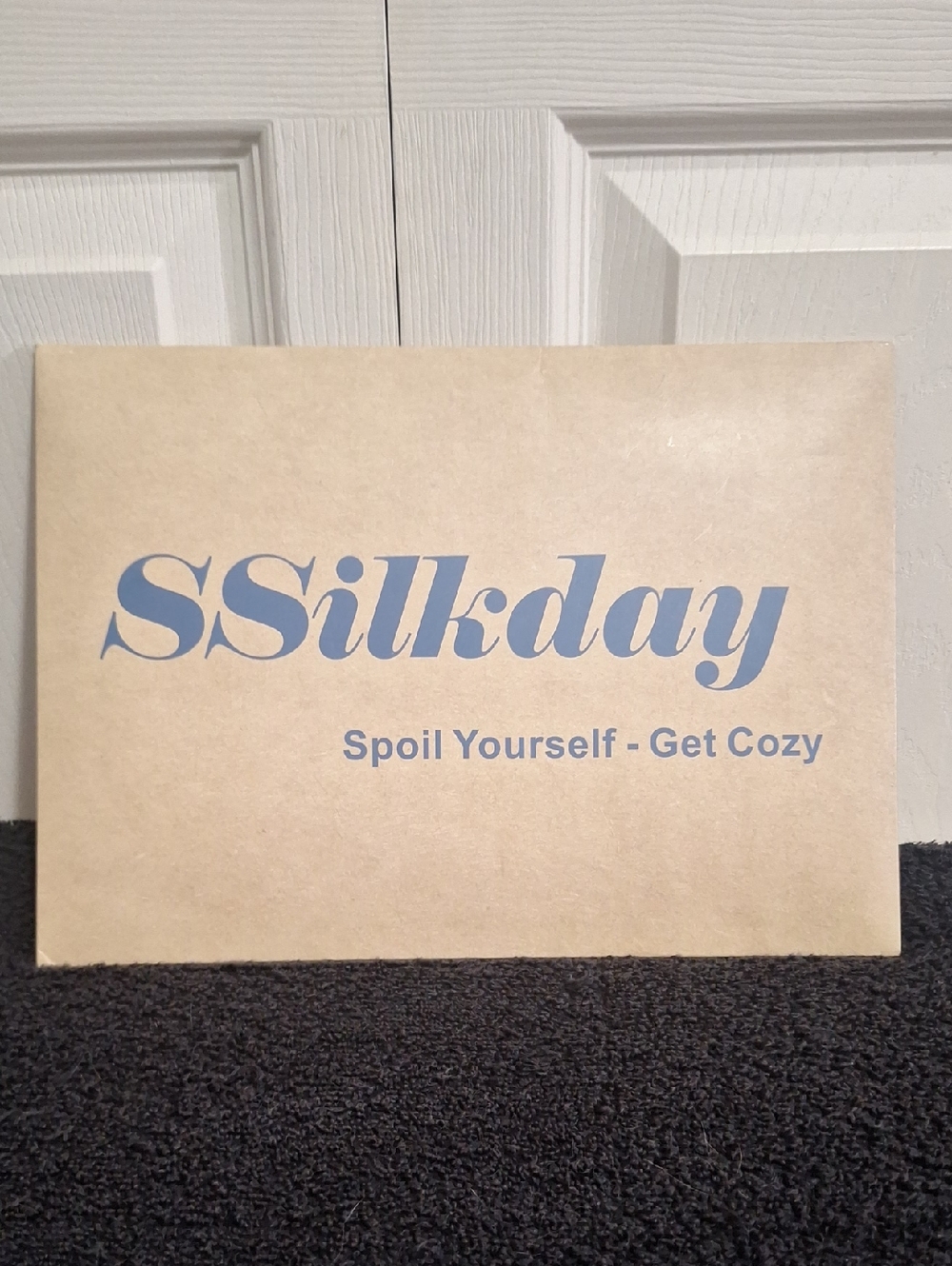Ssilkday Mulberry Silk Queen Pillowcase - Cream Ivory